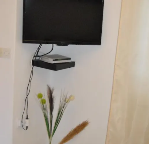 & Matan Ρόβινι