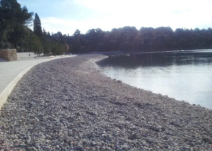 & Matan Ρόβινι