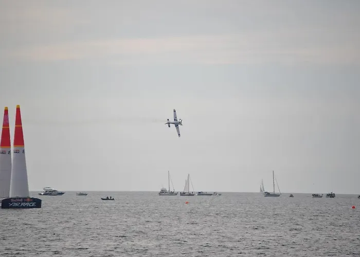 & Matan Ρόβινι