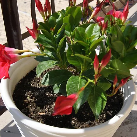 & Matan Apartamento *